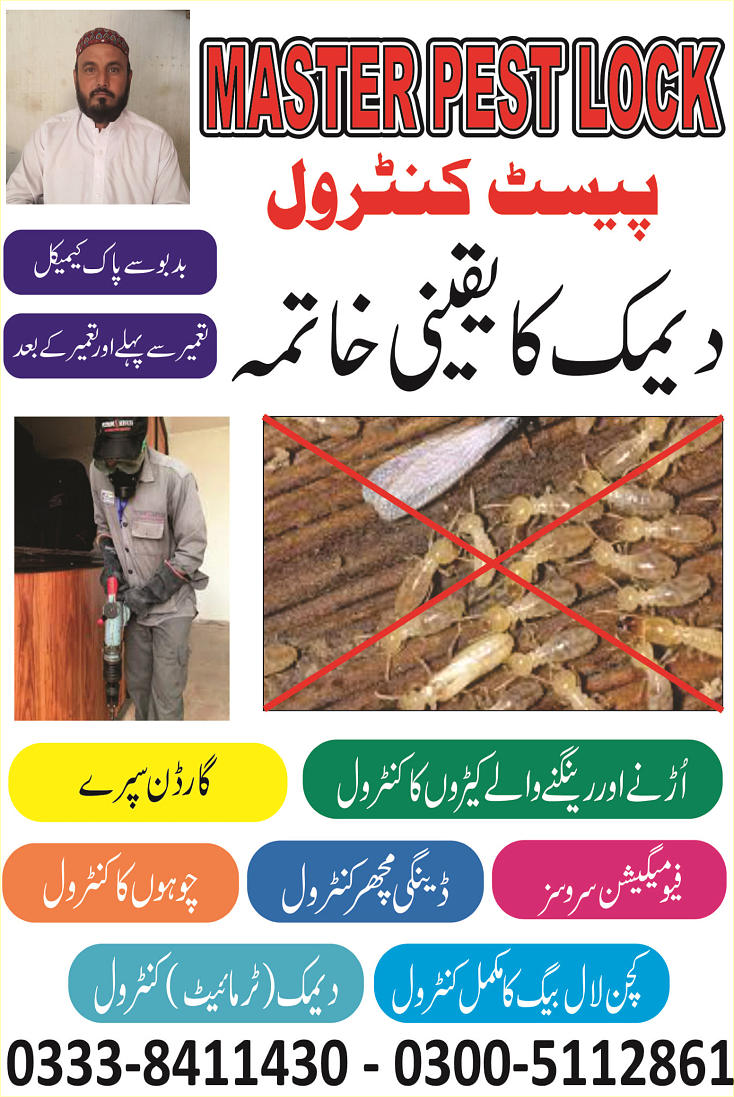 Master Pest Lock Termite Proofing & Fumigation Islamabad Rawalpindi Peshawar